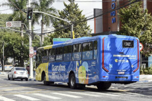 Onibus-Geladao_Umaita-Pires